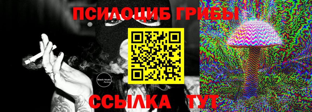 Псилоцибиновые грибы прущие грибы Кашира