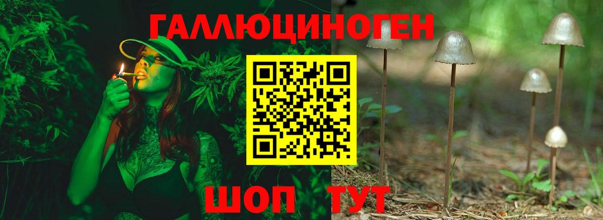 Галлюциногенные грибы Magic Shrooms  Вход с VPN  Кашира 